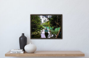 Little boat on Philippines' mangroves